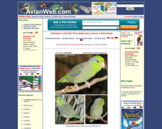 Avian Web