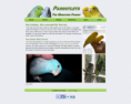 Parrotlets